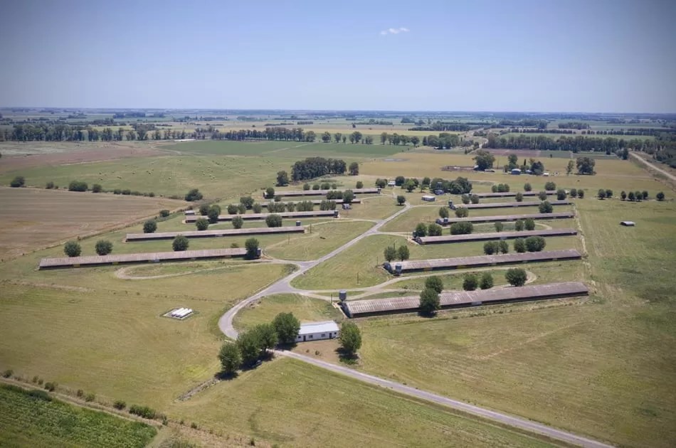 Granja de engorde Los Robles