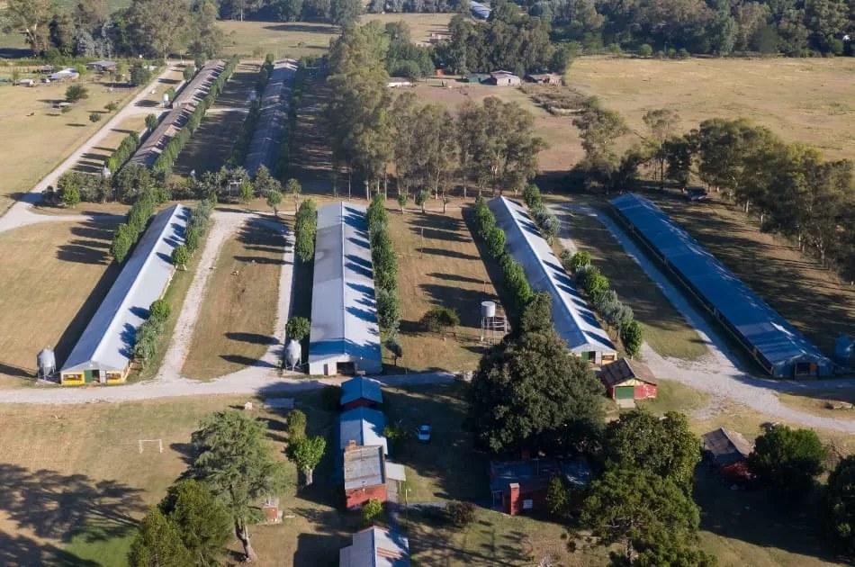 Granja de engorde La Recordación