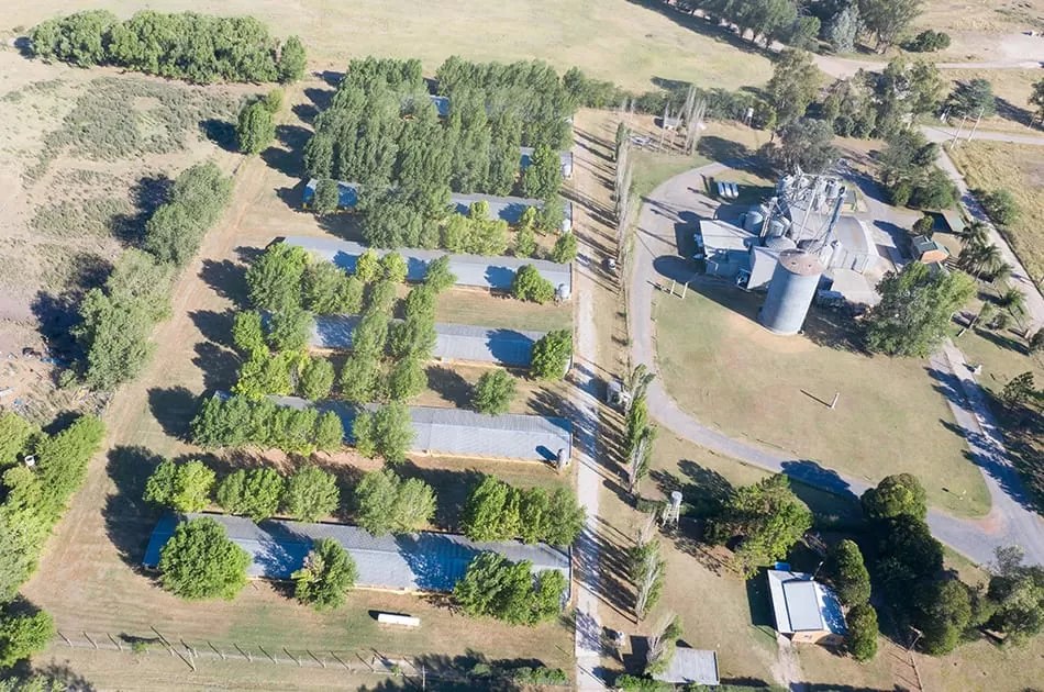 Granja de engorde Los Álamos