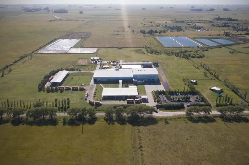 Planta de faena — Carmen de Areco